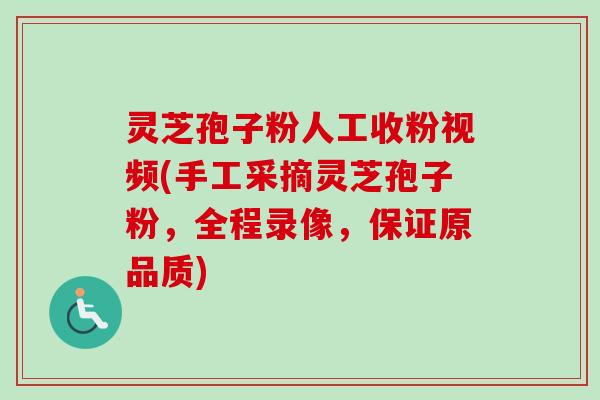 灵芝孢子粉人工收粉视频(手工采摘灵芝孢子粉,全程录像,保证原品质) 灵芝孢子粉人工收粉视频(手工采摘灵芝孢子粉,全程录像,保证原品质)