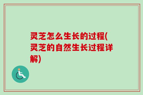 灵芝怎么生长的过程(灵芝的自然生长过程详解)