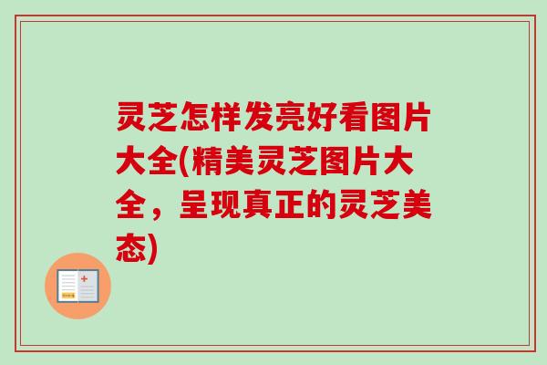 灵芝怎样发亮好看图片大全(精美灵芝图片大全，呈现真正的灵芝美态)
