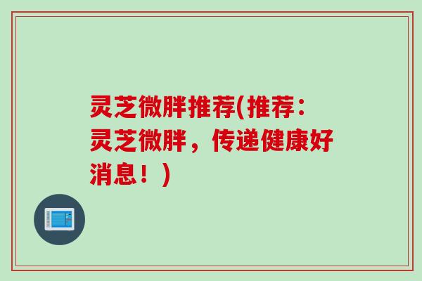 灵芝微胖推荐(推荐：灵芝微胖，传递健康好消息！)