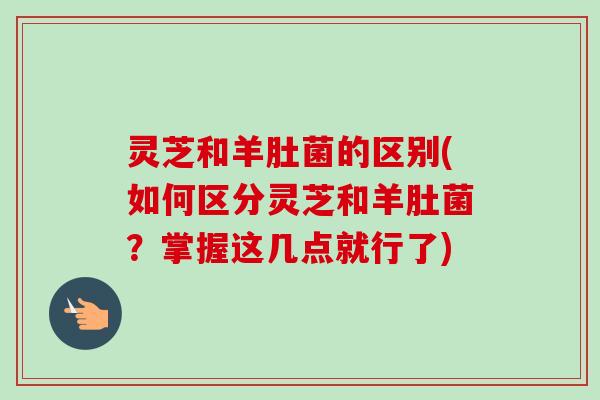 灵芝和羊肚菌的区别(如何区分灵芝和羊肚菌？掌握这几点就行了)