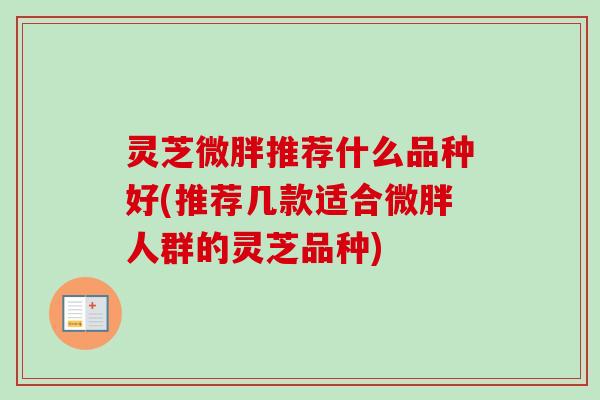 灵芝微胖推荐什么品种好(推荐几款适合微胖人群的灵芝品种)