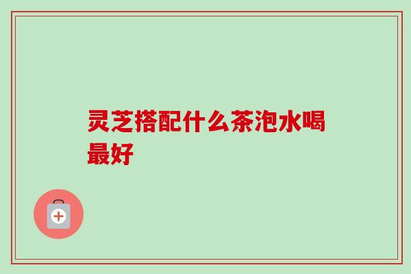 灵芝搭配什么茶泡水喝最好