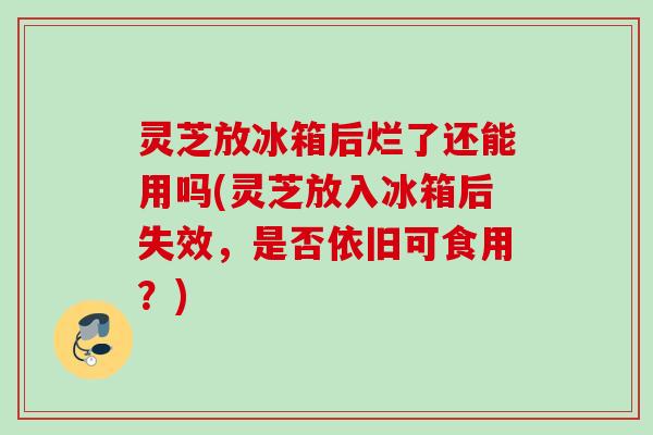 灵芝放冰箱后烂了还能用吗(灵芝放入冰箱后失效，是否依旧可食用？)