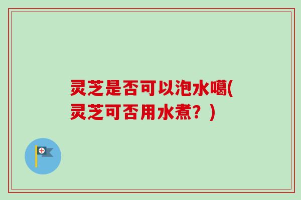 灵芝是否可以泡水噶(灵芝可否用水煮？)