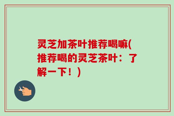 灵芝加茶叶推荐喝嘛(推荐喝的灵芝茶叶：了解一下！)