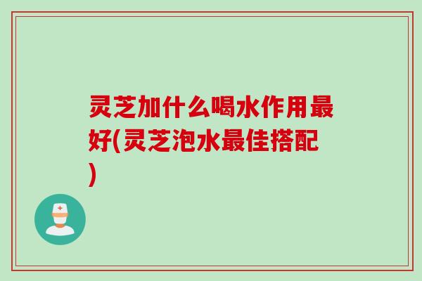 灵芝加什么喝水作用最好(灵芝泡水最佳搭配)