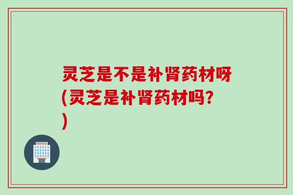 灵芝是不是补肾药材呀(灵芝是补肾药材吗？)