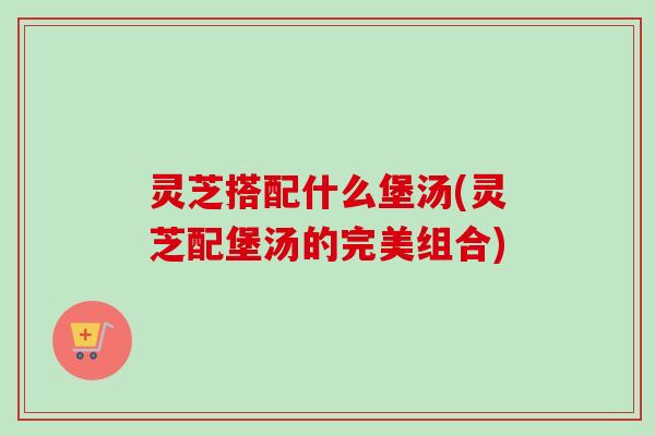 灵芝搭配什么堡汤(灵芝配堡汤的完美组合)