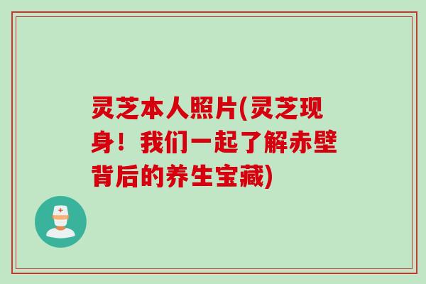 灵芝本人照片(灵芝现身！我们一起了解赤壁背后的养生宝藏)