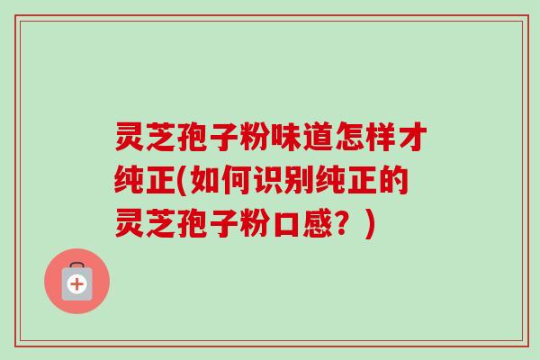 灵芝孢子粉味道怎样才纯正(如何识别纯正的灵芝孢子粉口感？)