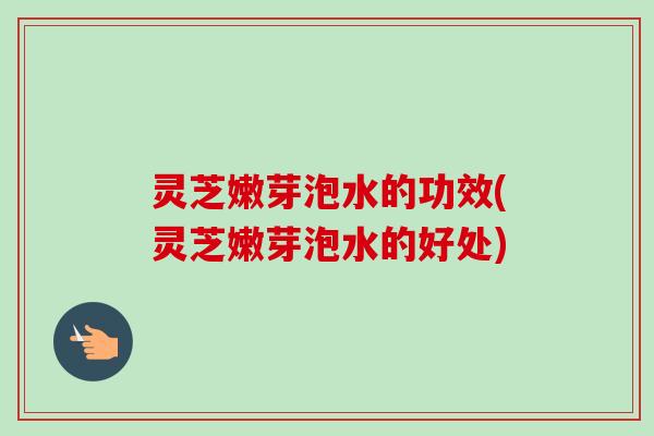 灵芝嫩芽泡水的功效(灵芝嫩芽泡水的好处)