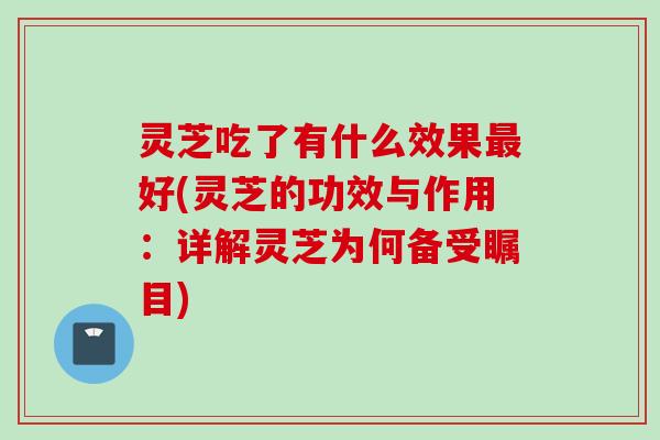 灵芝吃了有什么效果最好(灵芝的功效与作用：详解灵芝为何备受瞩目)