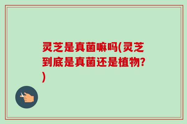 灵芝是真菌嘛吗(灵芝到底是真菌还是植物？)