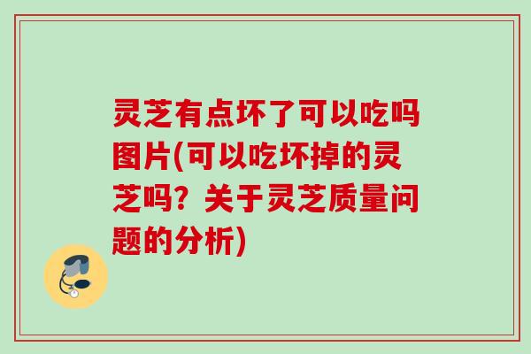 灵芝有点坏了可以吃吗图片(可以吃坏掉的灵芝吗？关于灵芝质量问题的分析)