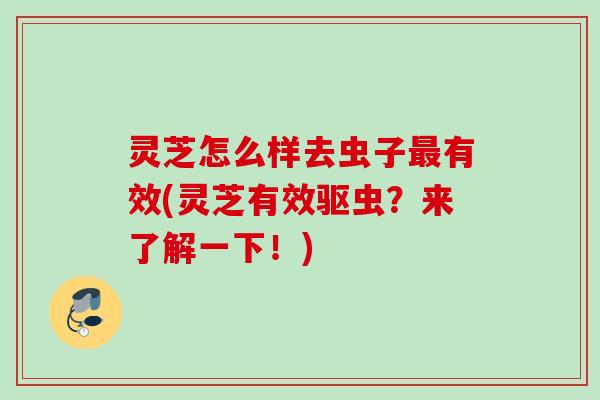 灵芝怎么样去虫子有效(灵芝有效驱虫?来了解一下!) 灵芝怎么样去虫子有效(灵芝有效驱虫?来了解一下!)