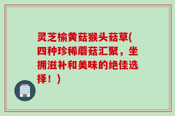 灵芝榆黄菇猴头菇草(四种珍稀蘑菇汇聚，坐拥滋补和美味的绝佳选择！)