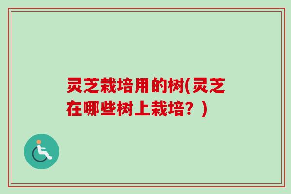 灵芝栽培用的树(灵芝在哪些树上栽培？)