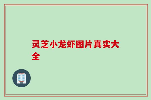 灵芝小龙虾图片真实大全