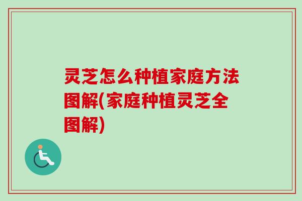灵芝怎么种植家庭方法图解(家庭种植灵芝全图解)