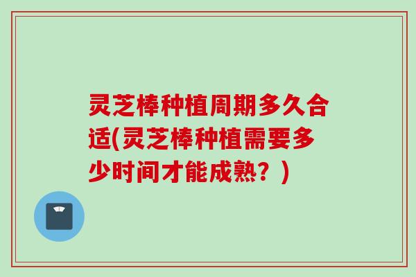 灵芝棒种植周期多久合适(灵芝棒种植需要多少时间才能成熟？)