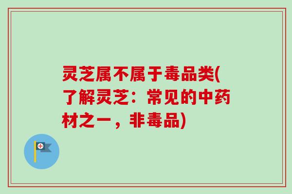 灵芝属不属于毒品类(了解灵芝：常见的中药材之一，非毒品)