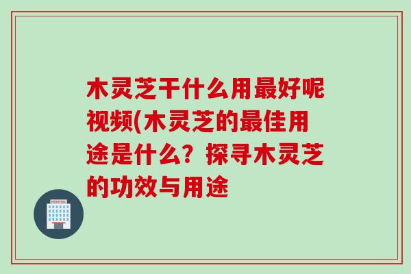 木灵芝干什么用最好呢视频(木灵芝的最佳用途是什么？探寻木灵芝的功效与用途
