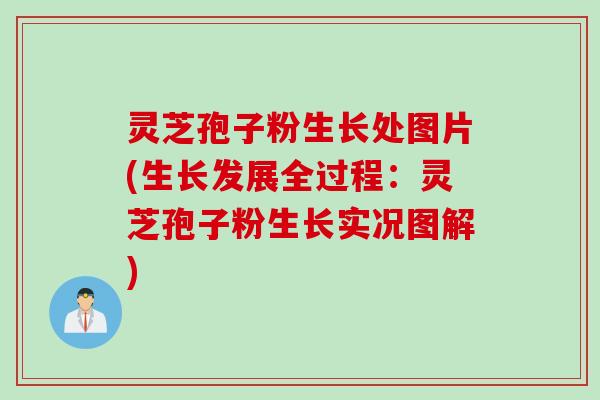 灵芝孢子粉生长处图片(生长发展全过程：灵芝孢子粉生长实况图解)