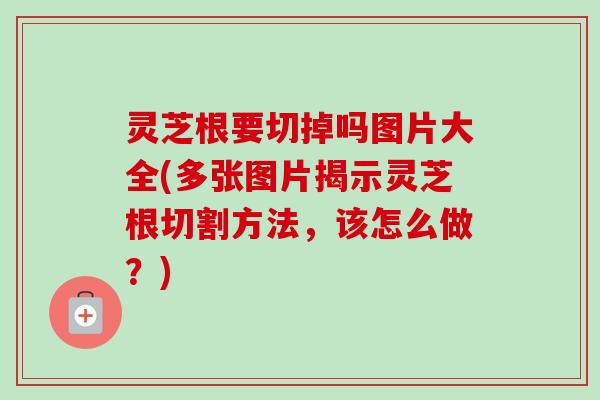 灵芝根要切掉吗图片大全(多张图片揭示灵芝根切割方法，该怎么做？)