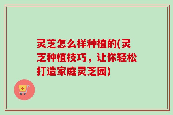 灵芝怎么样种植的(灵芝种植技巧，让你轻松打造家庭灵芝园)