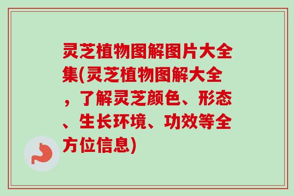 灵芝植物图解图片大全集(灵芝植物图解大全，了解灵芝颜色、形态、生长环境、功效等全方位信息)