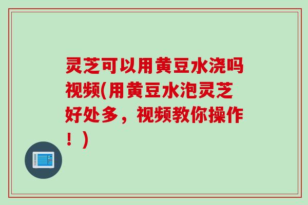 灵芝可以用黄豆水浇吗视频(用黄豆水泡灵芝好处多，视频教你操作！)