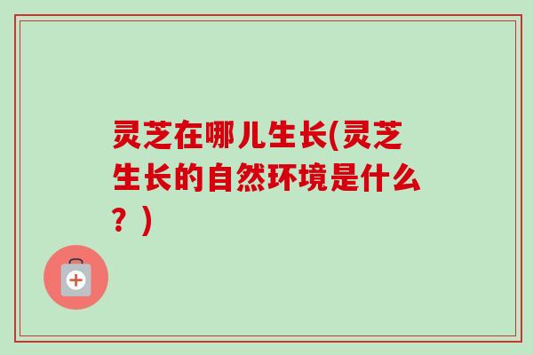 灵芝在哪儿生长(灵芝生长的自然环境是什么？)