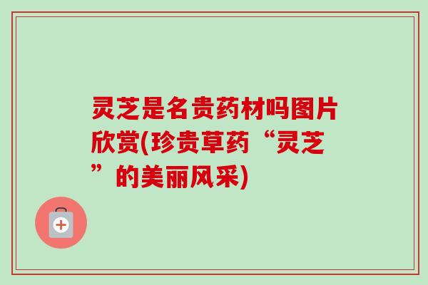 灵芝是名贵药材吗图片欣赏(珍贵草药“灵芝”的美丽风采) 灵芝是名贵药材吗图片欣赏(珍贵草药“灵芝”的美丽风采)