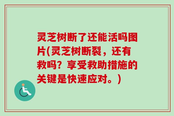 灵芝树断了还能活吗图片(灵芝树断裂，还有救吗？享受救助措施的关键是快速应对。)