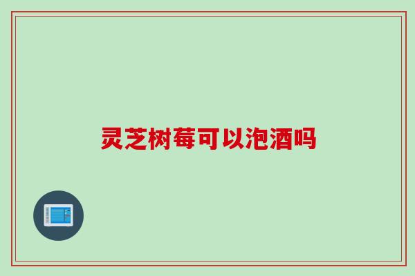 灵芝树莓可以泡酒吗