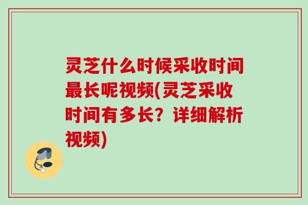 灵芝什么时候采收时间最长呢视频(灵芝采收时间有多长？详细解析视频)