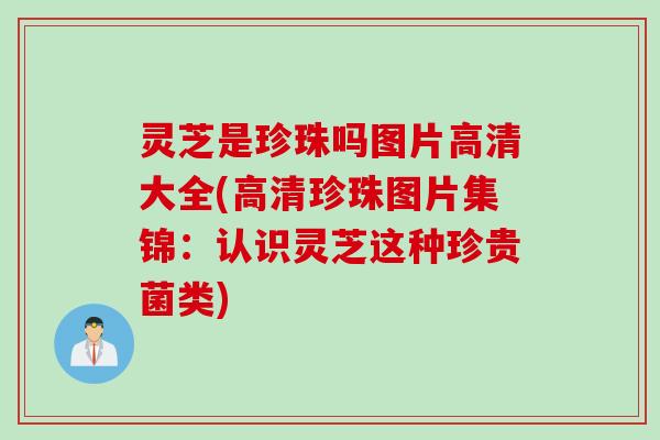 灵芝是珍珠吗图片高清大全(高清珍珠图片集锦:认识灵芝这种珍贵菌类) 灵芝是珍珠吗图片高清大全(高清珍珠图片集锦:认识灵芝这种珍贵菌类)