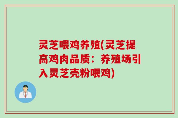 灵芝喂鸡养殖(灵芝提高鸡肉品质：养殖场引入灵芝壳粉喂鸡)