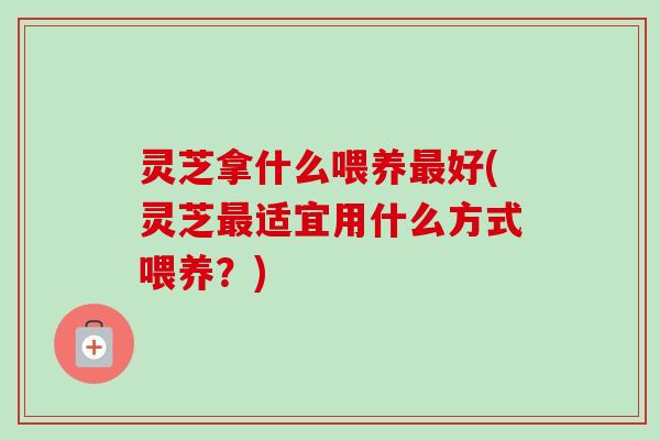 灵芝拿什么喂养最好(灵芝最适宜用什么方式喂养？)