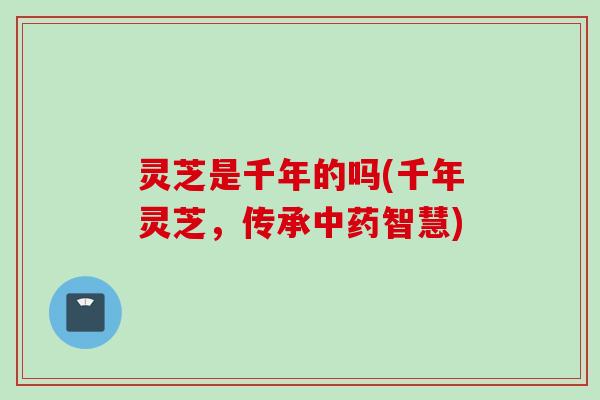 灵芝是千年的吗(千年灵芝，传承中药智慧)