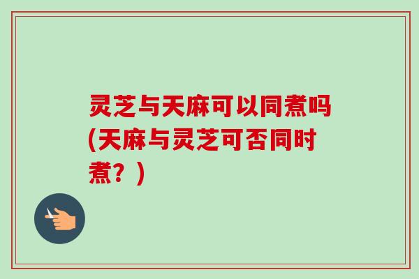 灵芝与天麻可以同煮吗(天麻与灵芝可否同时煮？)
