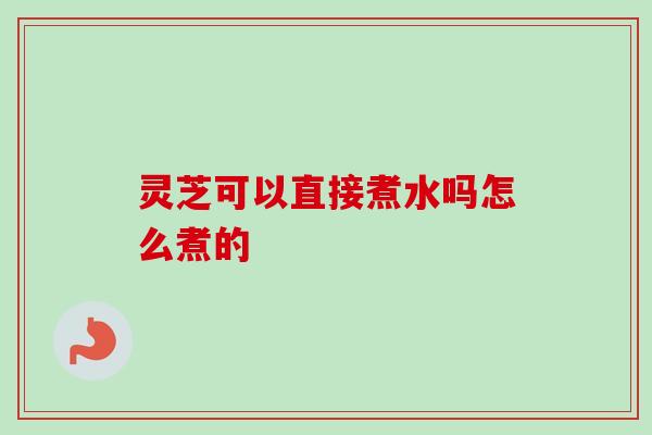 灵芝可以直接煮水吗怎么煮的