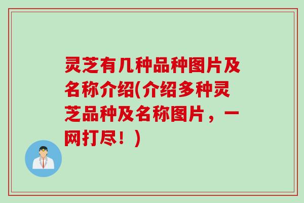 灵芝有几种品种图片及名称介绍(介绍多种灵芝品种及名称图片，一网打尽！)