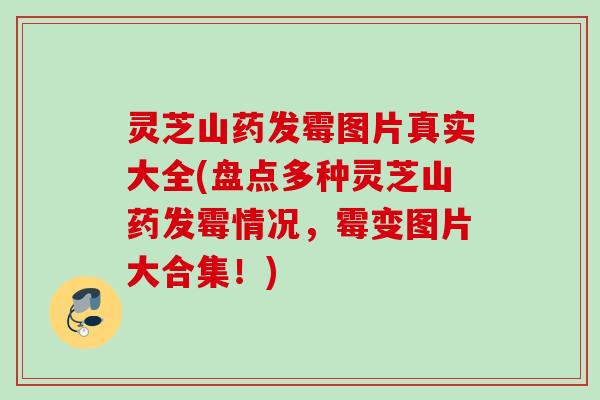 灵芝山药发霉图片真实大全(盘点多种灵芝山药发霉情况,霉变图片大合集!) 灵芝山药发霉图片真实大全(盘点多种灵芝山药发霉情况,霉变图片大合集!)