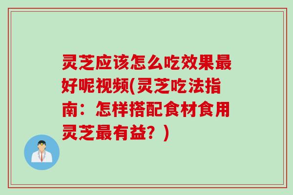 灵芝应该怎么吃效果最好呢视频(灵芝吃法指南：怎样搭配食材食用灵芝最有益？)