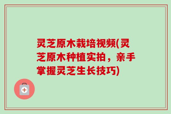 灵芝原木栽培视频(灵芝原木种植实拍，亲手掌握灵芝生长技巧)