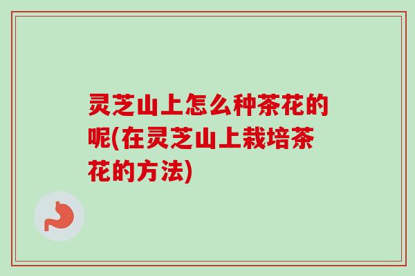 灵芝山上怎么种茶花的呢(在灵芝山上栽培茶花的方法)