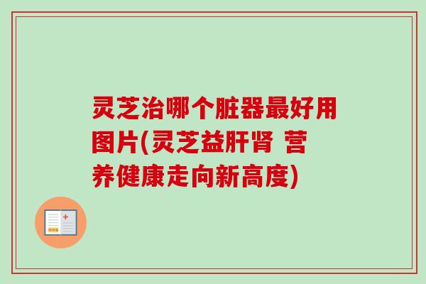 灵芝治哪个脏器最好用图片(灵芝益肝肾 营养健康走向新高度)