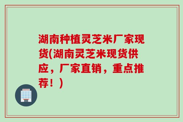 湖南种植灵芝米厂家现货(湖南灵芝米现货供应，厂家直销，重点推荐！)